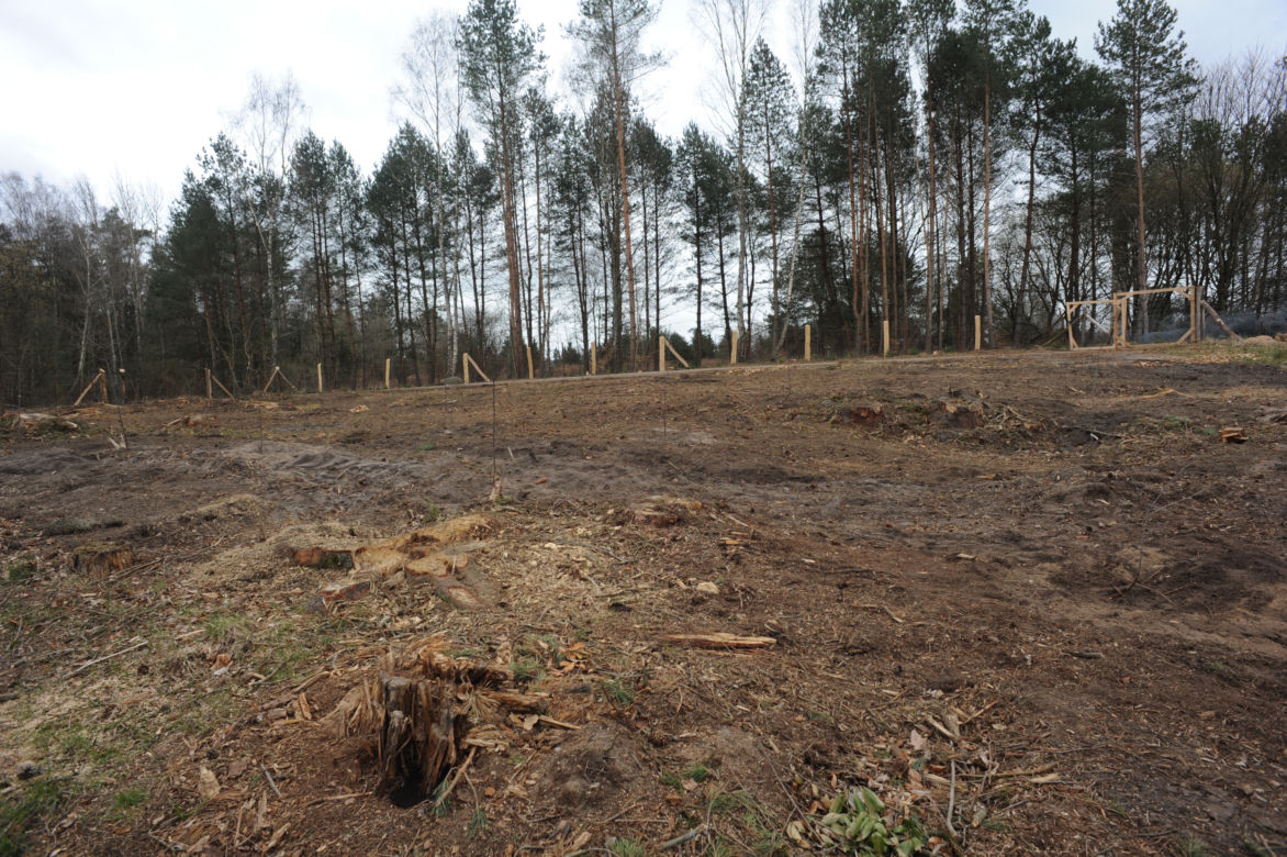 Karnieszewice: Skarb w lesie
