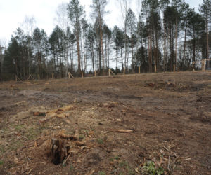 Karnieszewice: Skarb w lesie