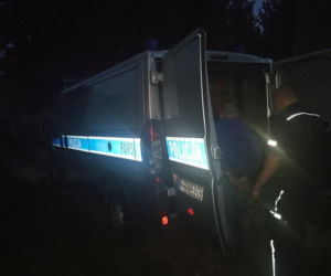 Spiłował psu zęby szlifierką