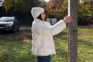 Barwy szczęścia, odcinki 3332-3336