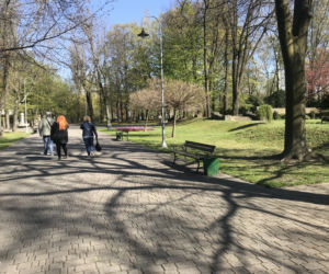 Katowice: Tłumy w Parku Kościuszki. Mieszkańcy ruszyli na spacery