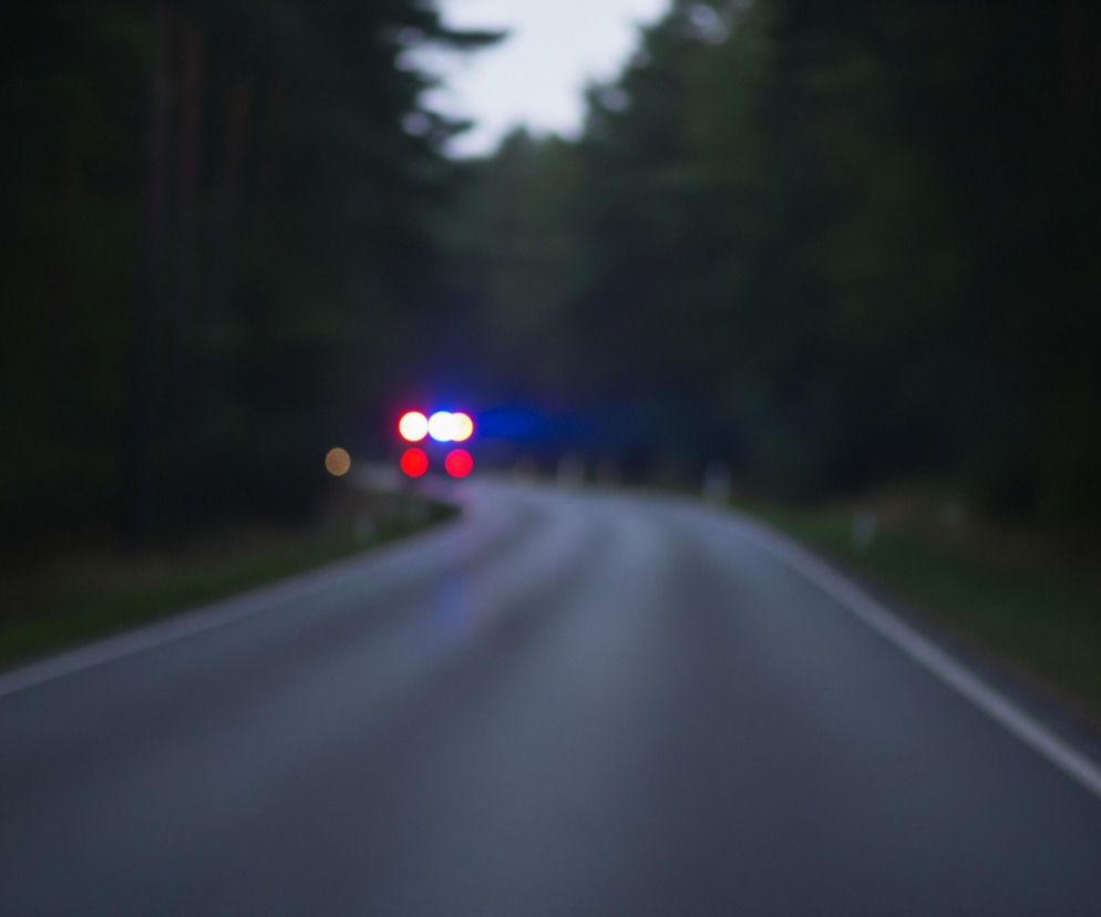 Asfaltowa droga wijąca się łagodnie w prawo zajmuje dolną połowę kadru, rozszerzając się ku dołowi i znikając w oddali w lewym górnym rogu. Po obu stronach drogi rozpościera się ciemny las, z zarysami drzew i koron widocznymi w tle. Na zakręcie, w oddali, widoczne są cztery rozmyte punkty światła: dwa czerwone i dwa niebieskie, sugerujące obecność pojazdu uprzywilejowanego. Całość jest nieostra, co nadaje obrazowi miękki, eteryczny charakter.