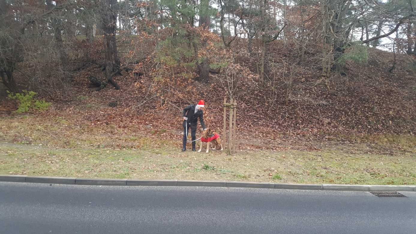 Mikołajki w bydgoskim schronisku dla zwierząt. "Kiedy ludzie dają miłość psom, dzieje się magia"