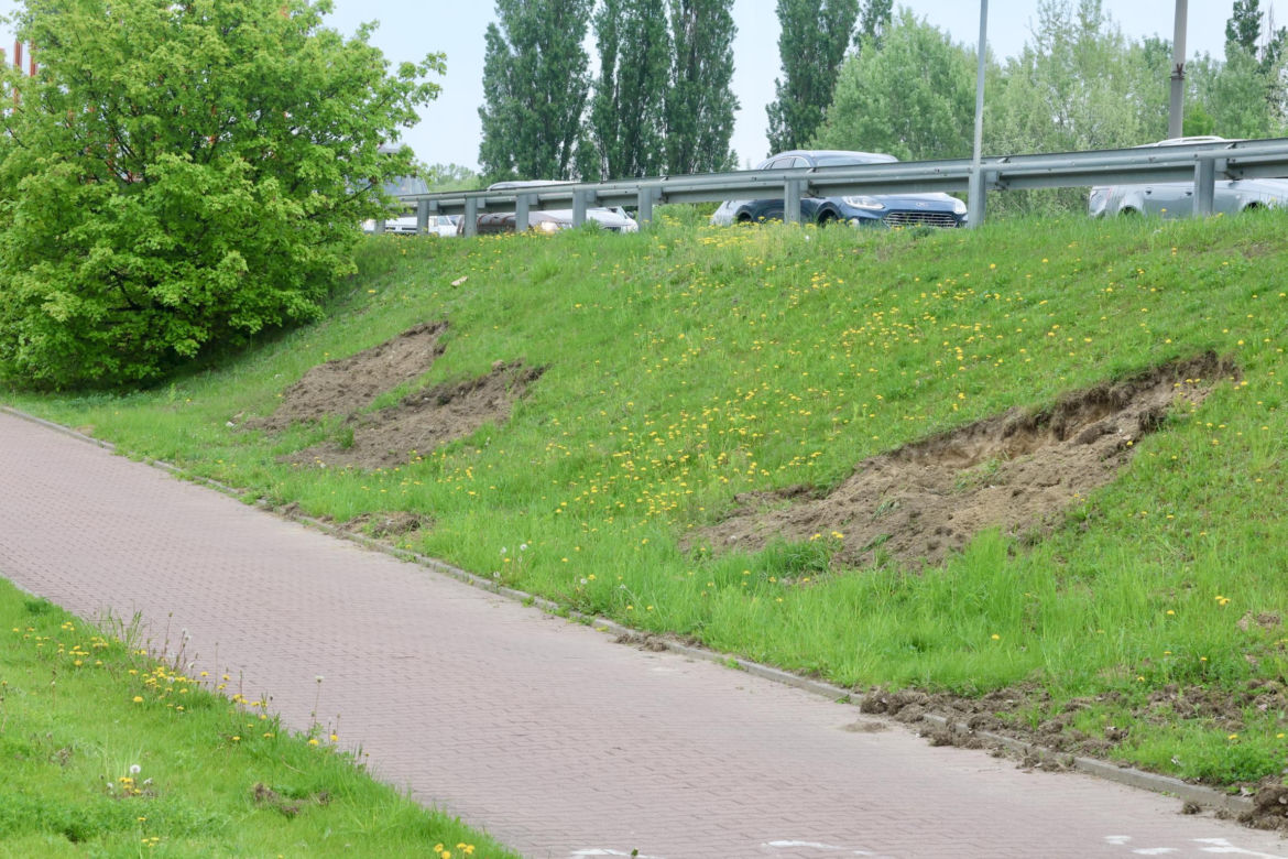 Warszawa sparaliżowana! Karambol po potrąceniu dzika. Kosmiczny korek aż do Marsa