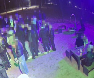 Impreza w parku zakończona mandatami