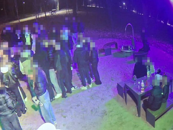 Impreza w parku zakończona mandatami