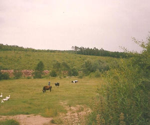 Wióry. Tak przed laty wyglądały zalane miejsca