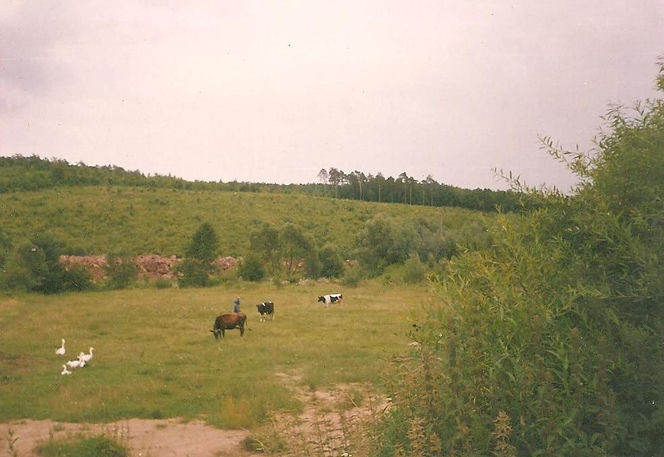 Wióry. Tak przed laty wyglądały zalane miejsca