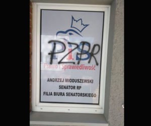 Nazwała PiS PZPR. Dostała zaskakujące zarzuty