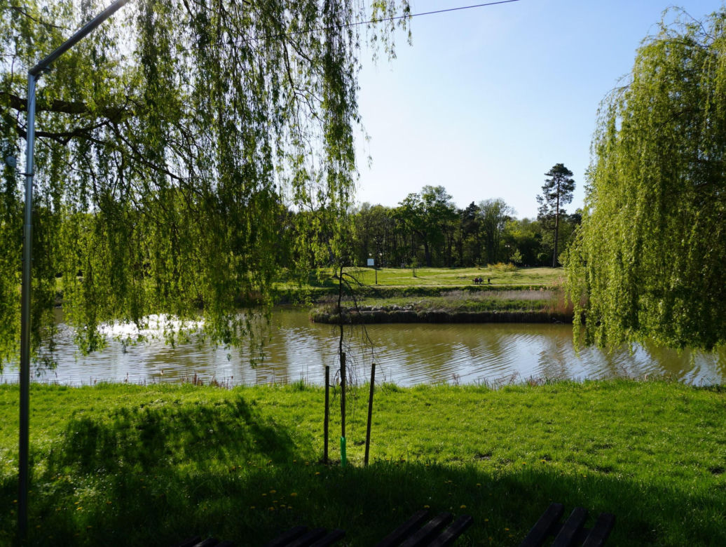 Park miejski w Opolu Lubelskim
