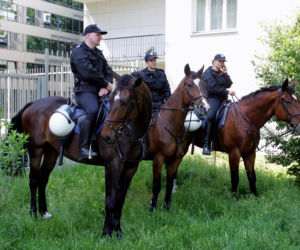 POLICJA KONNA
