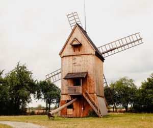 Dziekanowice w Wielkopolsce