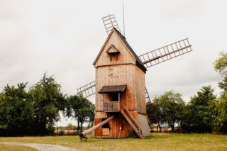 Dziekanowice w Wielkopolsce