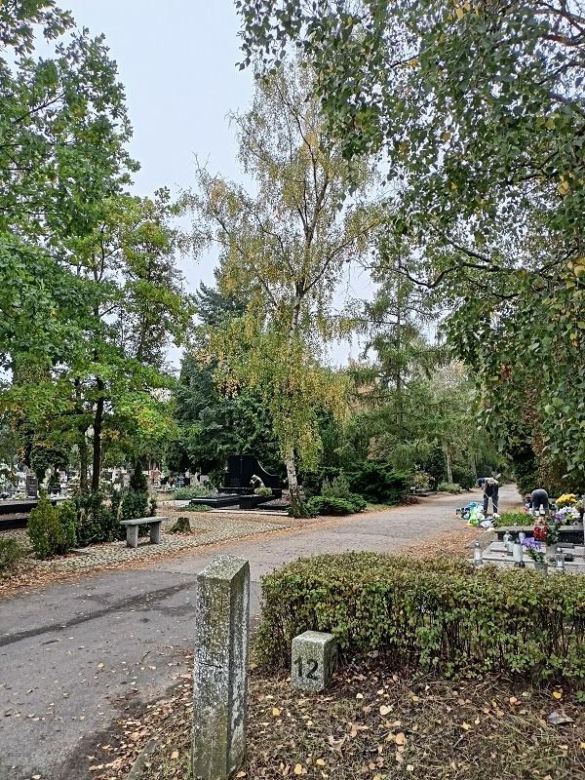 Cmentarz Junikowo Poznań