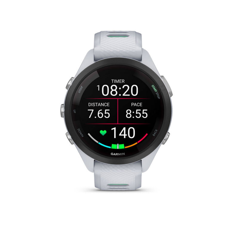 Garmin 265