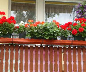 Najpiękniejsze balkony w Starachowicach