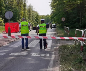 Piękna Agata zginęła przechodząc przez pasy