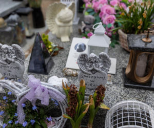 To dlatego zginęła Wiktoria? Jej mama od razu podejrzewała Aleksandra. Szokujące ustalenia