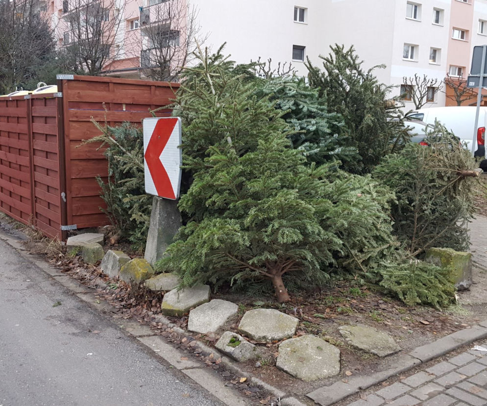 Koniec okresu świątecznego, rozbieramy choinkę
