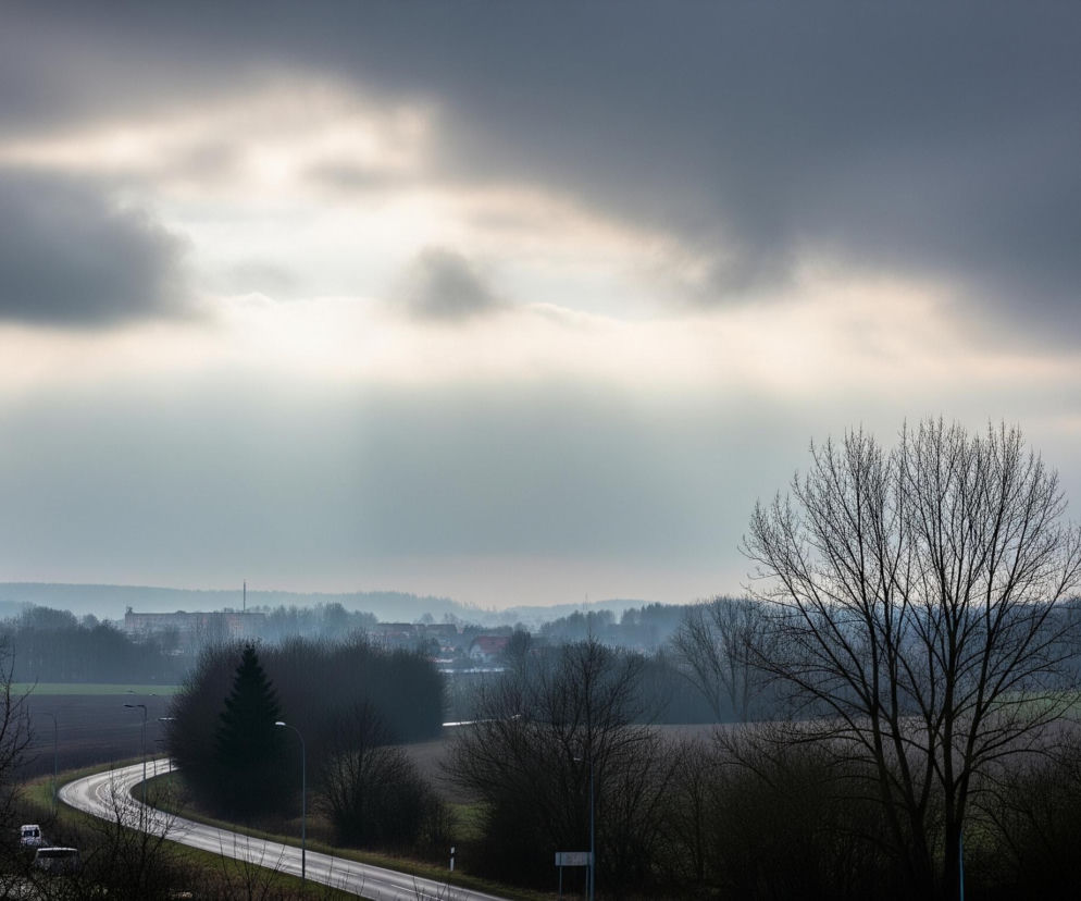 Ponury krajobraz zimowy z ciemnym, pochmurnym niebem, przez które miejscami przebija się jasne, rozproszone światło. Na pierwszym planie, po prawej i lewej stronie, znajdują się dwa duże, bezlistne drzewa o rozłożystych konarach. Poniżej, na zakręcającej drodze asfaltowej, widoczne są dwa samochody, a wzdłuż niej szereg lamp ulicznych. W tle rozciąga się pagórkowaty teren z polami uprawnymi o ziemistych i zielonkawych odcieniach, przeplatanymi zalesionymi obszarami, a w oddali widać zabudowania miasteczka.