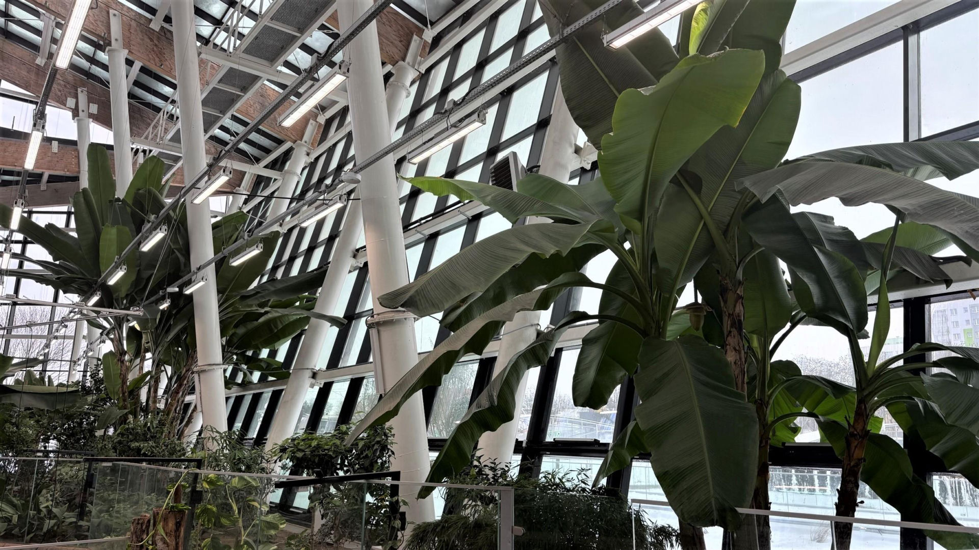 Egzotarium w Sosnowcu