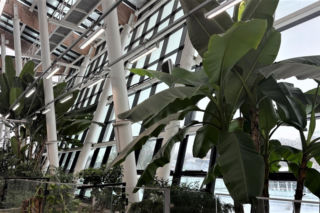 Egzotarium w Sosnowcu