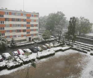Chojnów - śnieg padający w maju