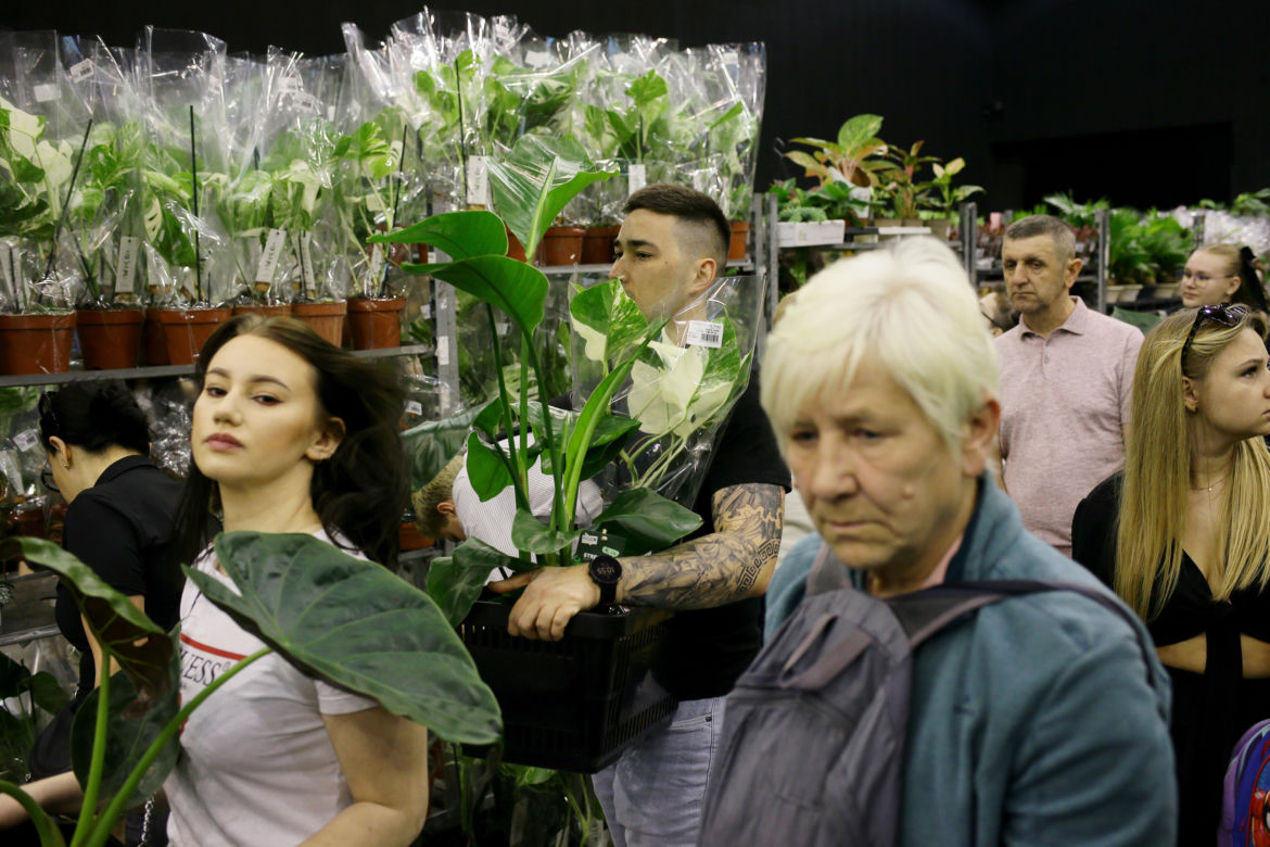 Festiwal roślin w Katowicach przez weekend w MCK