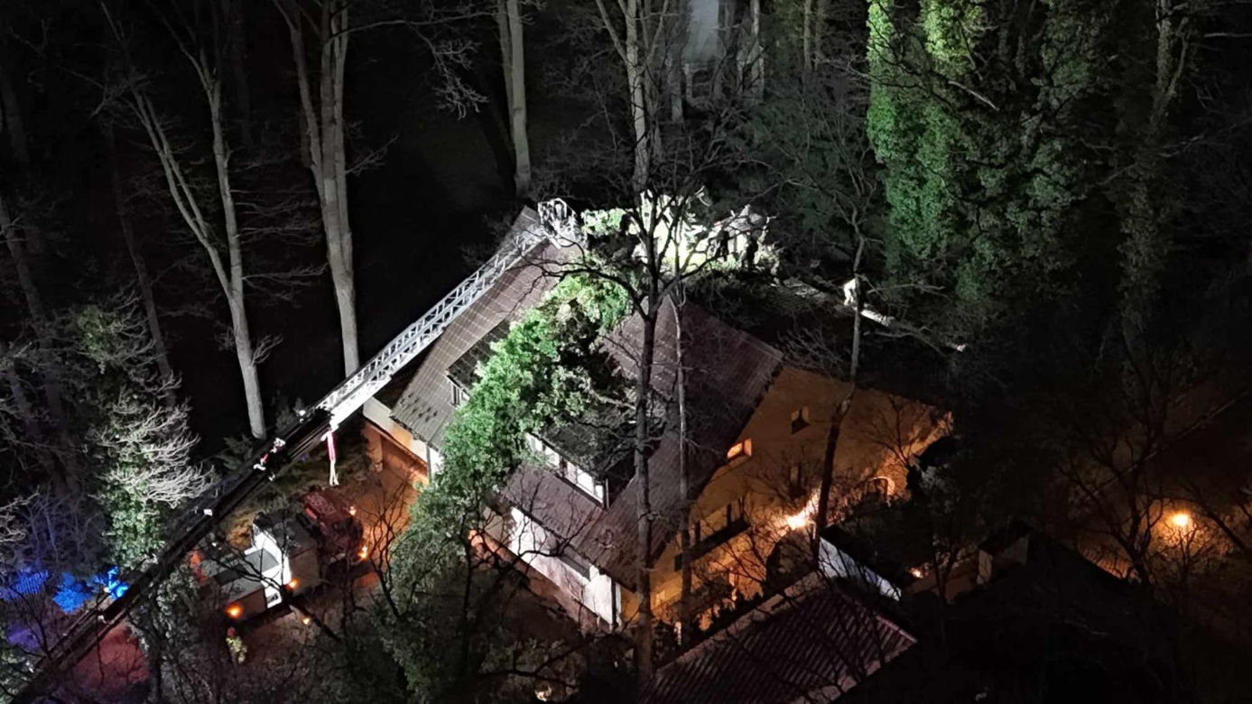 Gigantyczne drzewo runęło do dom jednorodzinny. Dramatyczna akcja ratunkowa w Warszawie