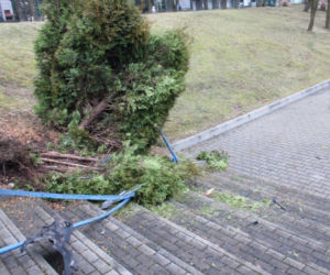 Tarnów. Przebiła ogrodzenie i zjechała ze skarpy wprost pod szkołę. Hamulec nie zadziałał?
