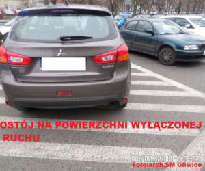 Mistrzowie parkowania z Gliwic