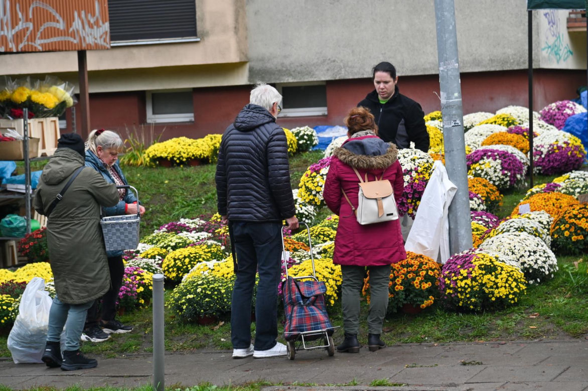 Porządki na Cmentarzu Centralnym w Szczecinie
