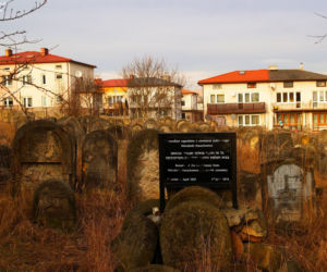 Kirkut w Starachowicach