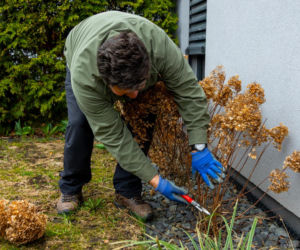 Wiosenne porządki w ogrodzie