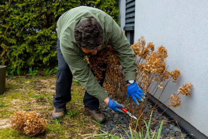 Wiosenne porządki w ogrodzie
