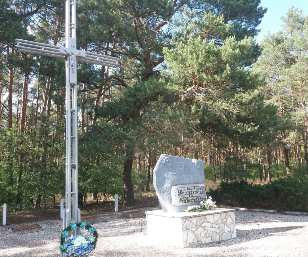 Kostrzyn 