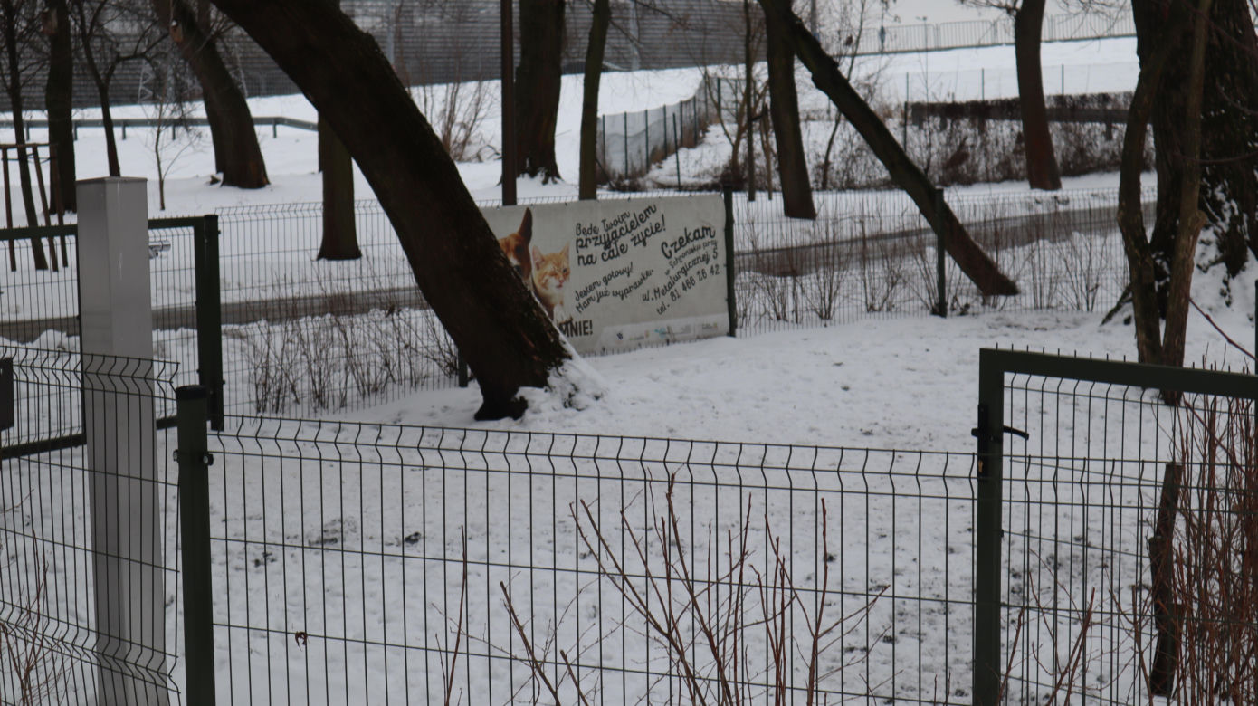 Park Ludowy 