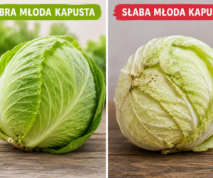 Nie każda młoda kapusta jest polska. 3 rzeczy zdradzają ją od razu