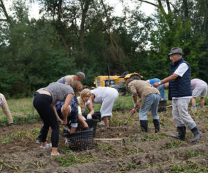 3. odcinek Sanatorium miłości