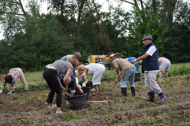 3. odcinek "Sanatorium miłości"