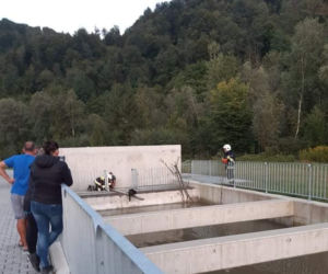 Zabrzeż. Strażacy uratowali bobra przed straszną śmiercią