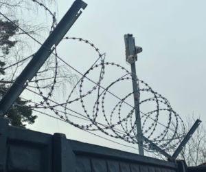 Tu trafiły psy uratowane ze schroniska w Sobolewie. Byliśmy na miejscu