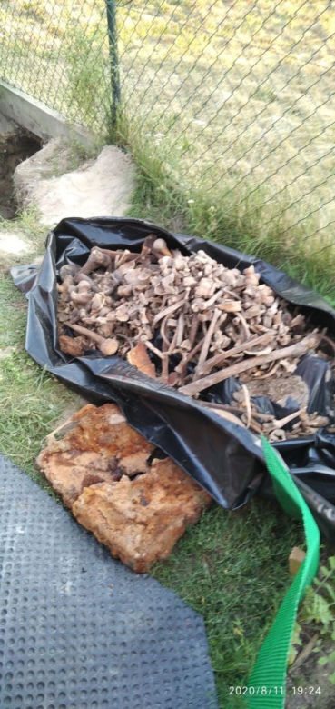 Żytna: Podczas zabawy w ogródku chłopiec wykopał ludzkie szczątki. Zobaczyli CZASZKI!