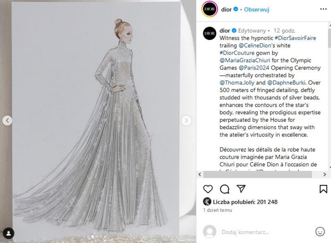 Jedno zdjęcie Celine Dion narobiło zamieszania