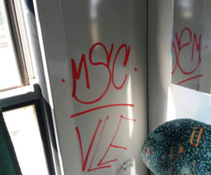 Pseudokibice ze Szczecina zniszczyli wagon