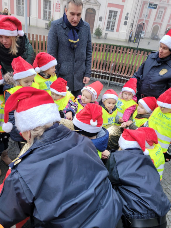 Poznańskie koziołki w świątecznych kubrakach