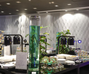 Konferencja WWF i Hotelu Novotel