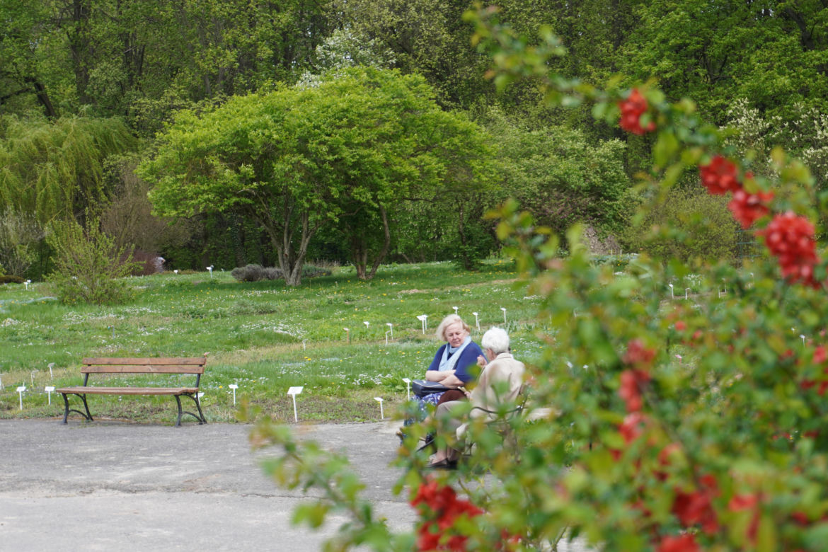 Ogród Botaniczny w Lublinie