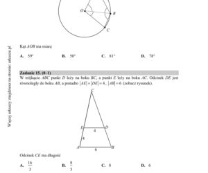 Matura próbna 2020 matematyka. CKE opublikowała STARE ARKUSZE!