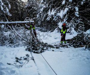 Atak zimy w Elblągu